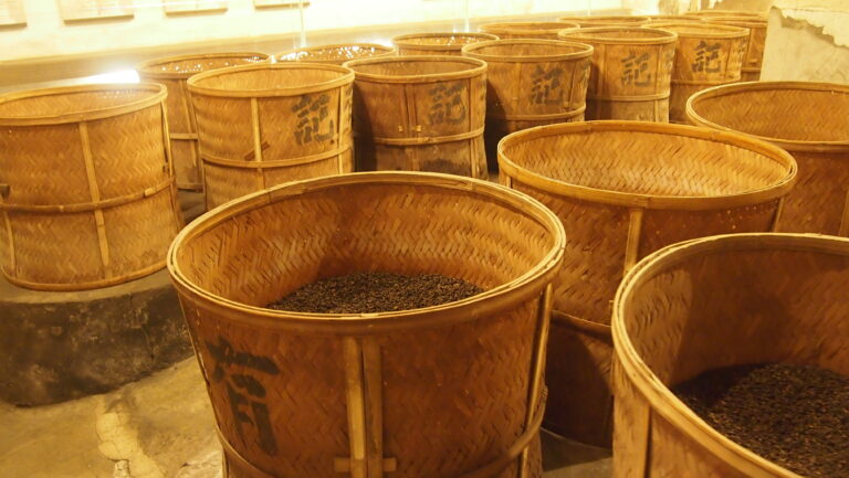 品於茶、專於茶,百年來始終如一的老茶行「有記名茶」