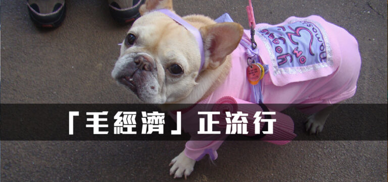 創新趨勢:由「毛小孩」帶來的寵物經濟正夯!