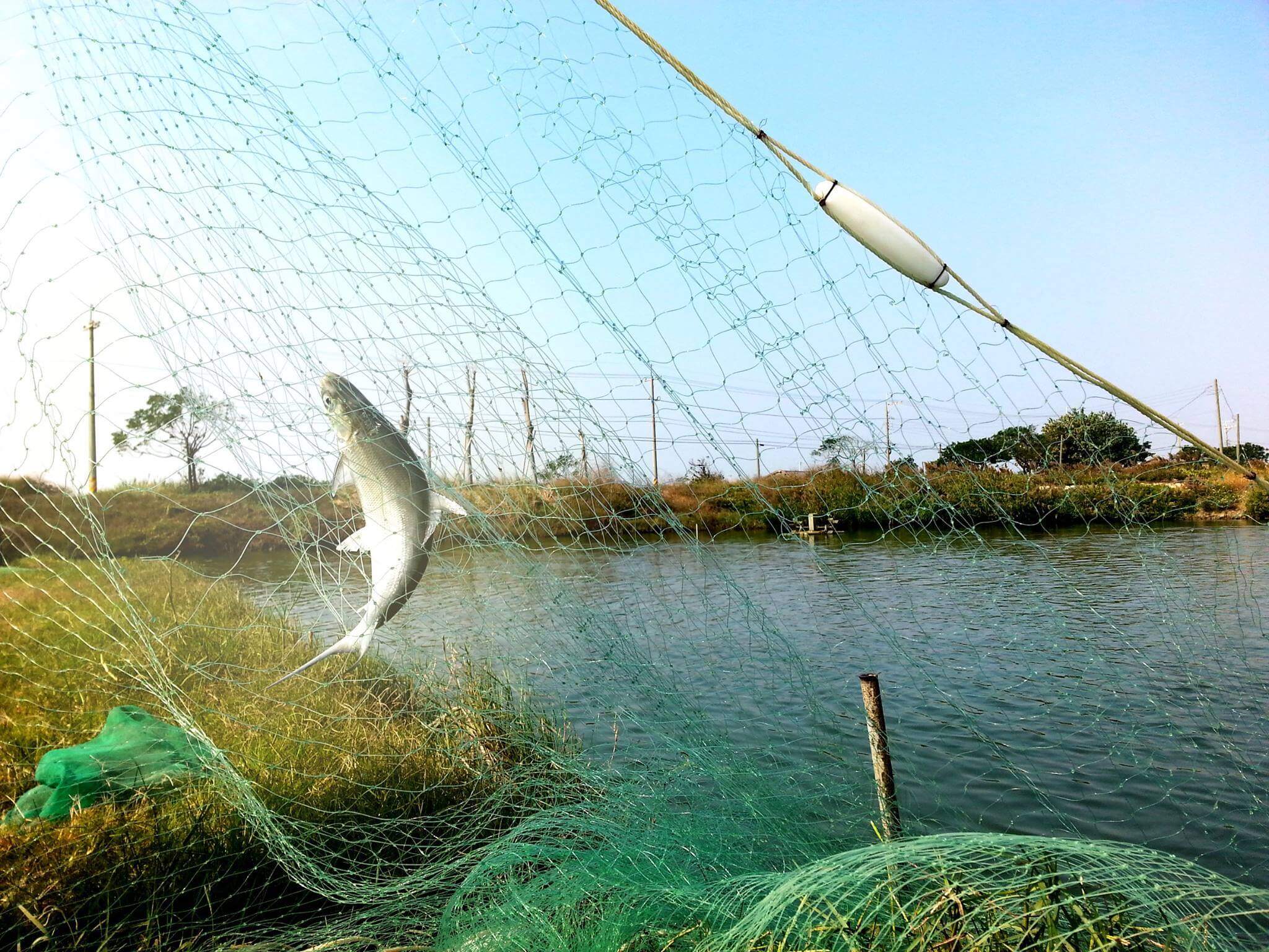 14310477_947146402081101_2192822399266455410_o