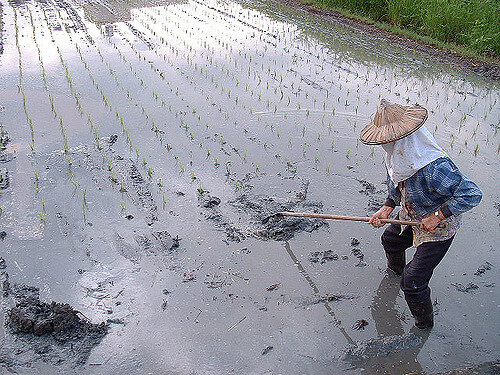 188032821_c7519818f1_z