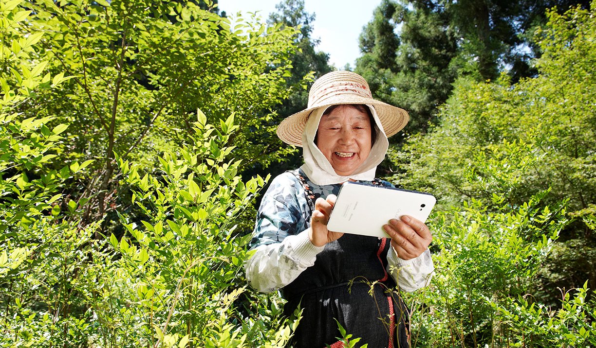 ????????????????????????????????????