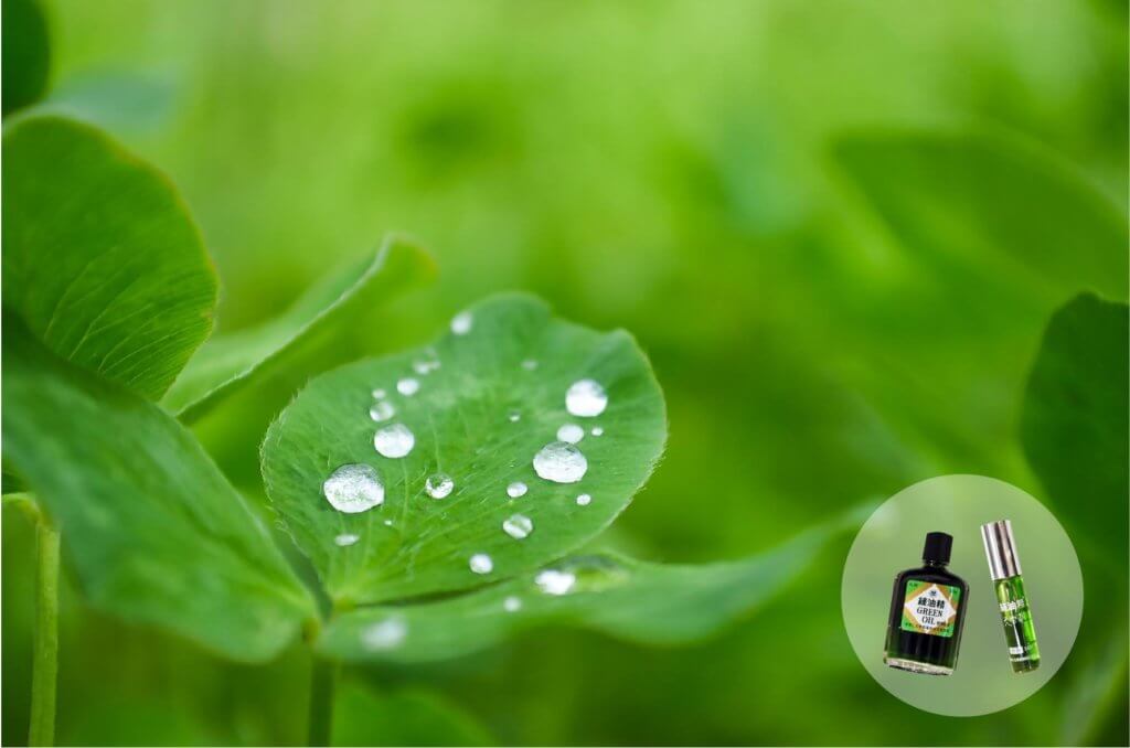 21246293_816884981819160_3648315414097613551_o