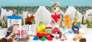 WintersTail5_333231_333231
