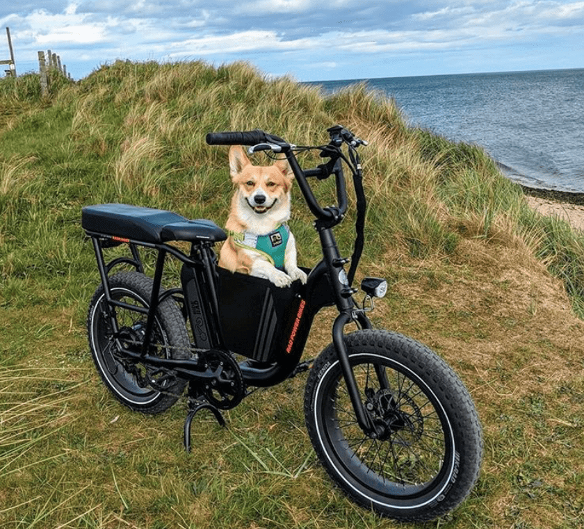 Rad-Power-Bikes-and-Dog